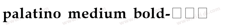 palatino medium bold字体转换